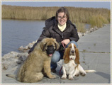 Velenc�ben