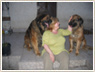 Ludman csal�d - Golda �r�kbefogad�i
