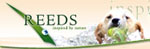 Reeds